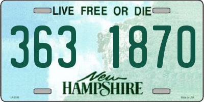 NH license plate 3631870