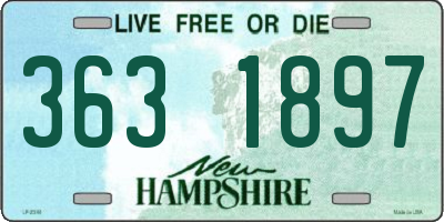 NH license plate 3631897