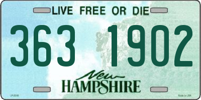 NH license plate 3631902
