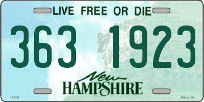NH license plate 3631923