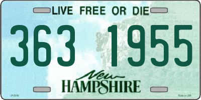 NH license plate 3631955