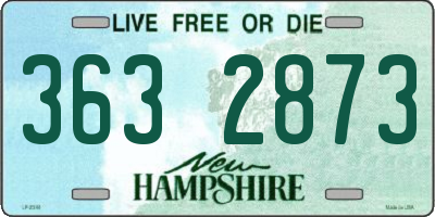 NH license plate 3632873