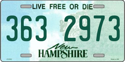NH license plate 3632973