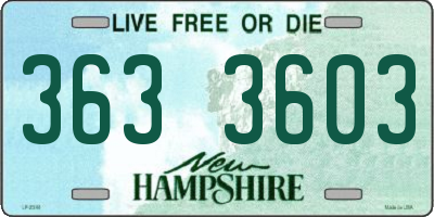 NH license plate 3633603