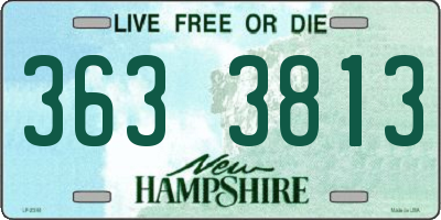 NH license plate 3633813