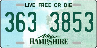 NH license plate 3633853
