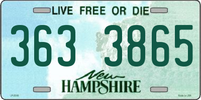 NH license plate 3633865
