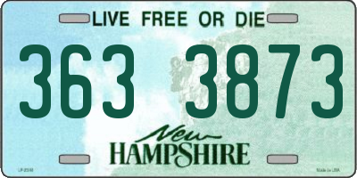 NH license plate 3633873
