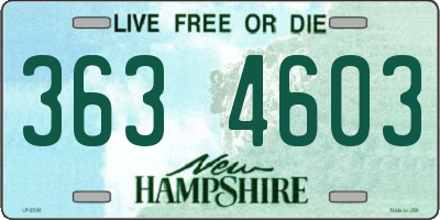 NH license plate 3634603
