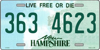 NH license plate 3634623