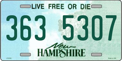 NH license plate 3635307