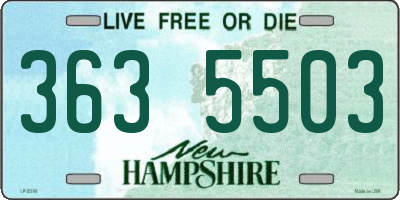 NH license plate 3635503