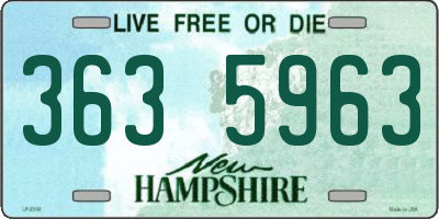 NH license plate 3635963