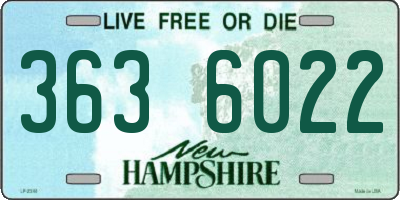 NH license plate 3636022