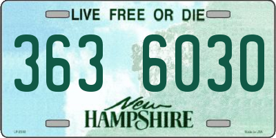 NH license plate 3636030