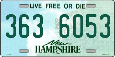 NH license plate 3636053