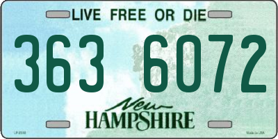 NH license plate 3636072