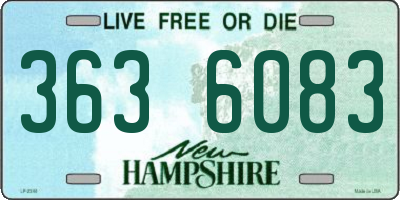 NH license plate 3636083