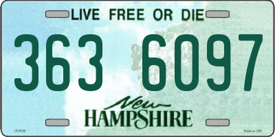 NH license plate 3636097