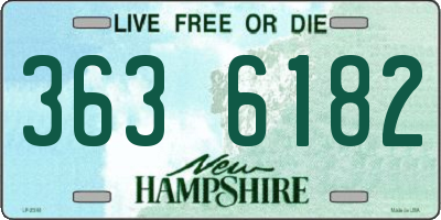 NH license plate 3636182