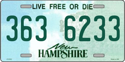 NH license plate 3636233