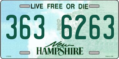 NH license plate 3636263