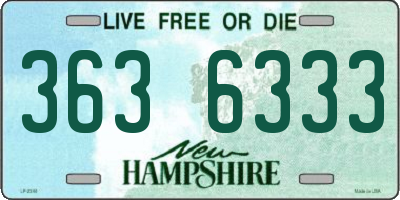 NH license plate 3636333