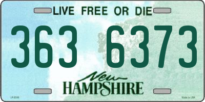 NH license plate 3636373