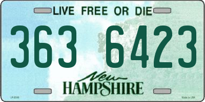 NH license plate 3636423