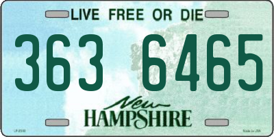 NH license plate 3636465