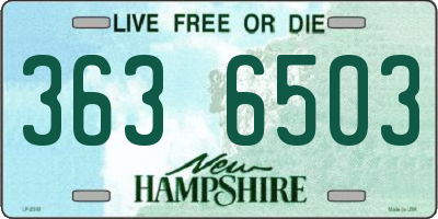 NH license plate 3636503