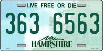 NH license plate 3636563