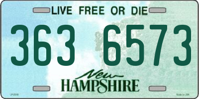 NH license plate 3636573