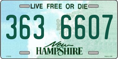NH license plate 3636607