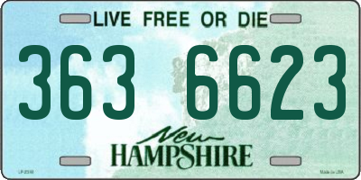 NH license plate 3636623