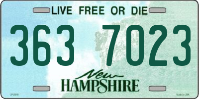 NH license plate 3637023