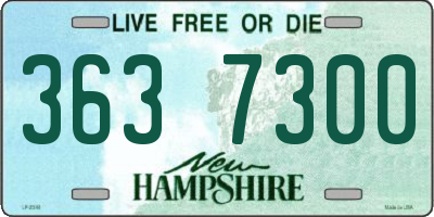 NH license plate 3637300