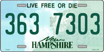 NH license plate 3637303