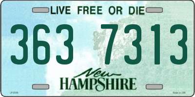 NH license plate 3637313