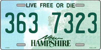 NH license plate 3637323