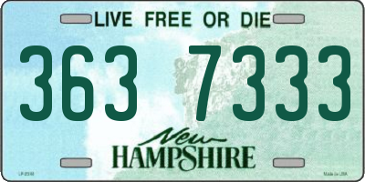 NH license plate 3637333