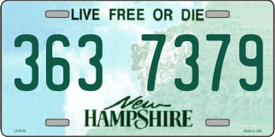 NH license plate 3637379