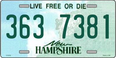NH license plate 3637381