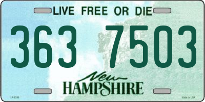 NH license plate 3637503