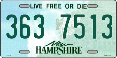 NH license plate 3637513