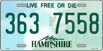NH license plate 3637558