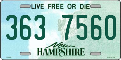 NH license plate 3637560