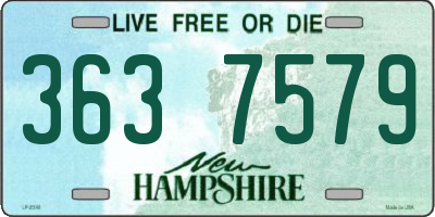 NH license plate 3637579