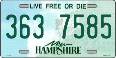 NH license plate 3637585