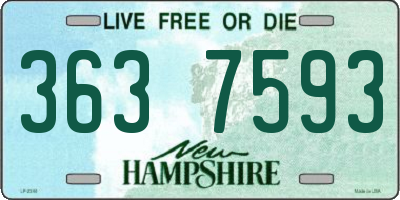 NH license plate 3637593